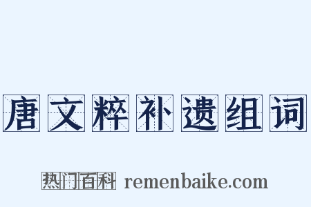 唐文粹补遗组词是什么意思的图片